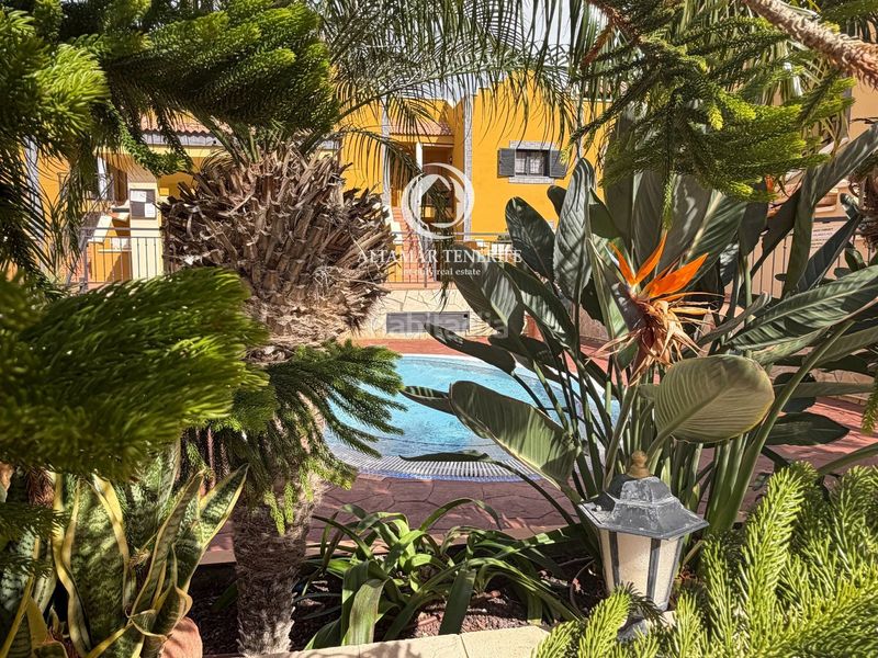Foto 8875f40f-f76b-46fe-8b9f-e042b8882ca9. Apartament amb aparcament piscina a Playa del Duque Adeje