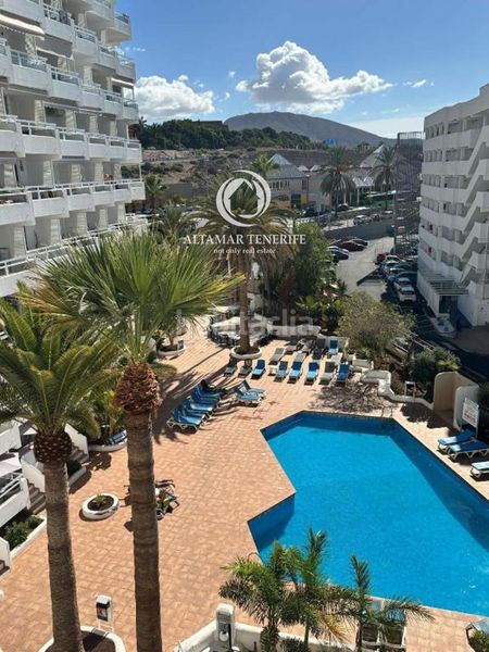 Foto 936d6b25-58bf-43ad-81cf-4c546c95b0c5. Apartament amb piscina a Playa de las Américas Adeje