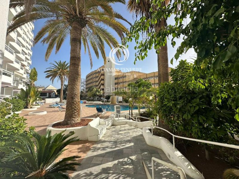 Foto 7c03933d-6385-447a-8b87-20fddd273716. Apartament amb piscina a Playa de las Américas Adeje