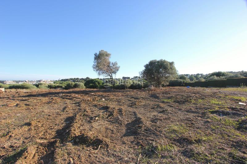 Foto 38c0f949-f84e-4cb5-8ef8-e37fd153a838. Terreny residencial a calle limonar 432 a Sotogrande alto Sotogrande