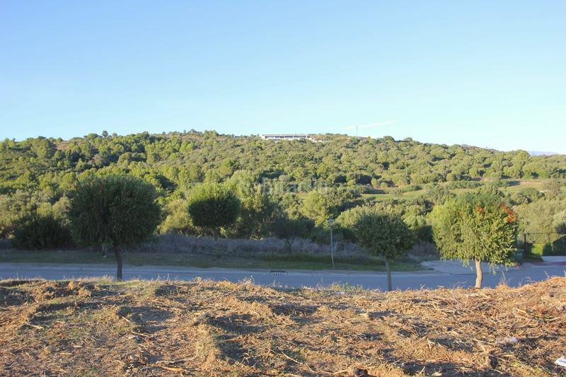 Foto 7c4f3f74-943f-49c1-a8be-419c8254ea81. Terreny residencial a calle limonar 432 a Sotogrande alto Sotogrande