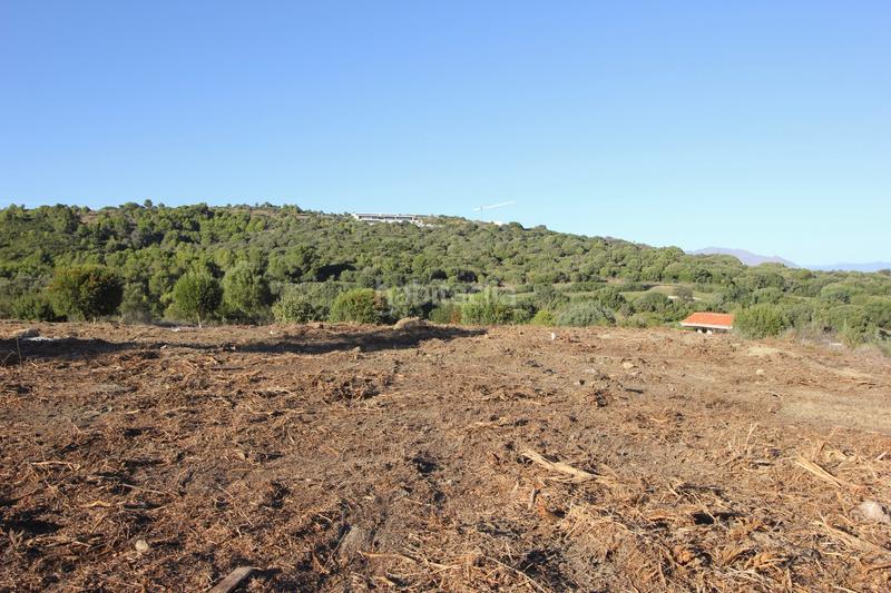 Foto b8602420-a473-48a0-b925-0e45ca063b6c. Terreny residencial a calle limonar 432 a Sotogrande alto Sotogrande