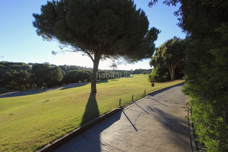 Foto eb673f57-6d84-4f5d-8901-546c58692363. Terreny residencial a calle limonar 432 a Sotogrande alto Sotogrande