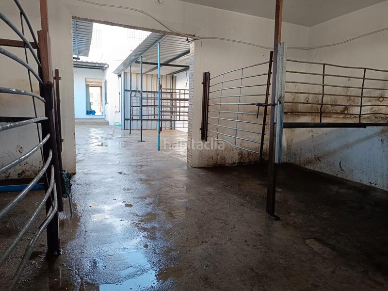 Foto 1ed19119-dbb0-4dfa-a770-5b06eb839299. Casa amb xemeneia a El Rocío Almonte