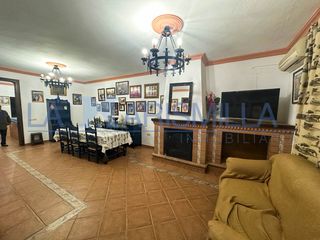 House  El ajolí. Casa en venta en el rocío – gran capacidad y espacio ecuestre