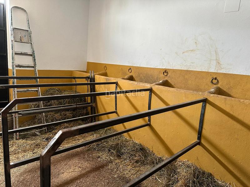 Foto 4efae2d3-6021-44d7-ac10-c371dd5d6af5. Alquiler casa adosada casa de alquiler en calle lince, El Rocío en Almonte