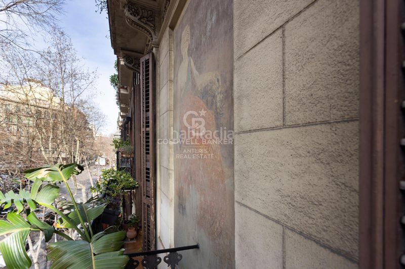 Foto 3804738b-4910-4d46-a3f2-df3726df76d8. Pis a Dreta de l´Eixample Barcelona