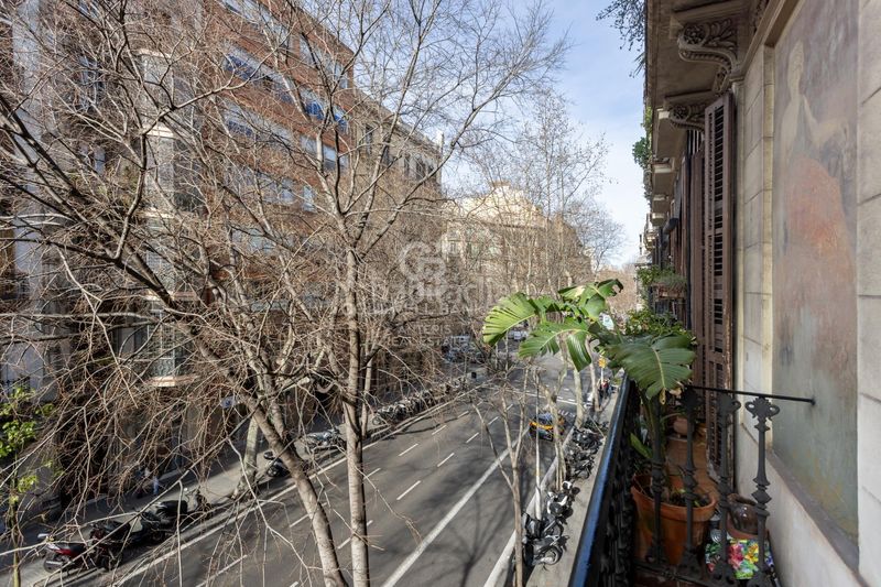 Foto c7c9cf31-ad68-4804-bfb3-71c09d8db97c. Pis a Dreta de l´Eixample Barcelona