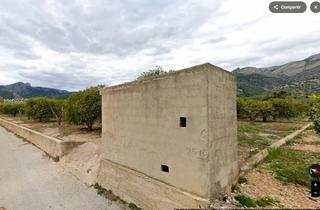 Finca rústica a Lugar urban.-zv pu40 70. Terreno a un paso de orba