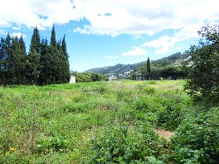 Finca rústica a Carrer de la font 42. Terreno con muchas posibilidades e inversión a largo plazo