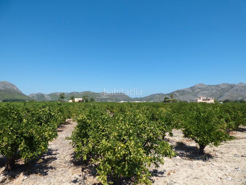 Foto 5a447401-2136-4814-b641-52d30c50a66c. Finca rústica a n/a a Orba