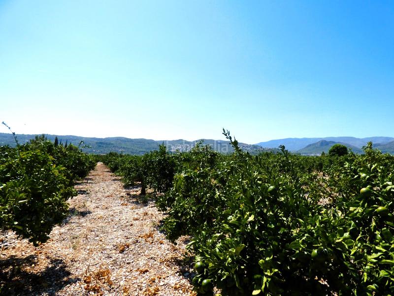 Foto 5d00d8dd-0ad9-466f-a84d-4c769b1ba1d9. Finca rústica a n/a a Orba