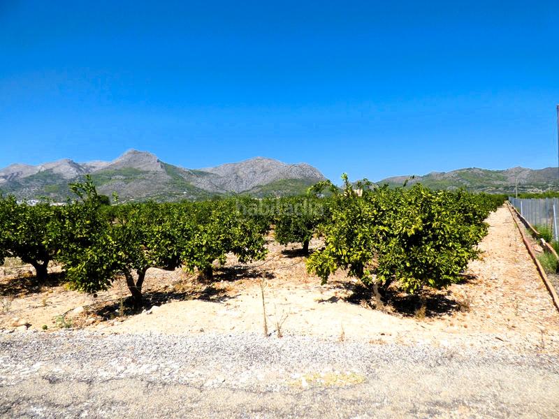 Foto 886718f0-f40e-46c7-a072-3086713a98ae. Finca rústica a n/a a Orba