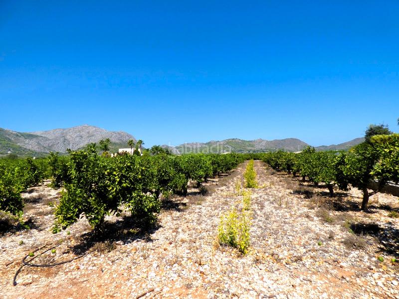 Foto a46cb545-e73c-49f8-99d8-aa9234c30528. Finca rústica a n/a a Orba