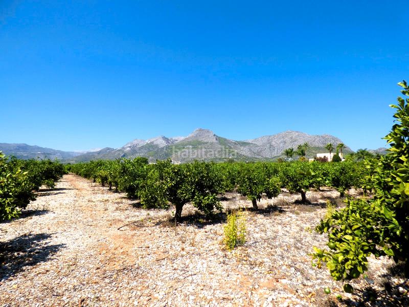 Foto e1b5e12d-fa62-48d6-992a-e7e41f07d99c. Finca rústica a n/a a Orba