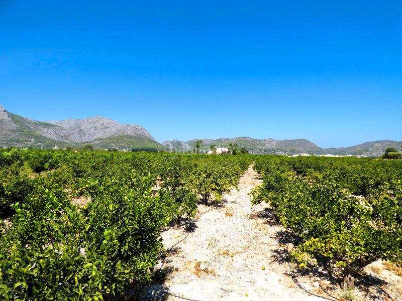 Foto e4685ba3-105f-4ddc-acda-3ef95ac259e2. Finca rústica a n/a a Orba