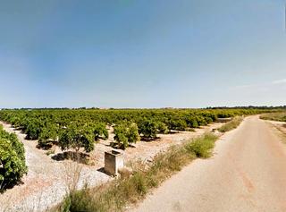 Finca rústica  N/a. Terreno en el término municipal de denia y a un paso de vergel