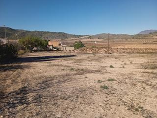 Propriété à Romana (la). Terreno rural en la romana