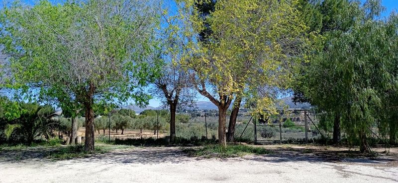 Foto 26e725b2-a3ad-467a-8e6d-de54568d5340. Chalet dans San Crispín-Huerta Nueva-Estación Elda