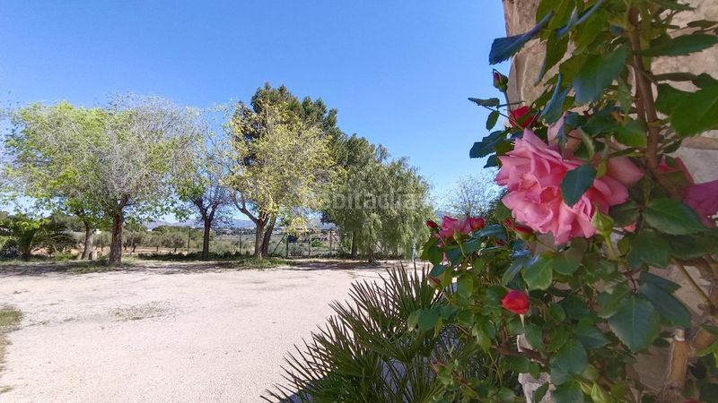 Foto 4d083cc4-7fcc-4593-8333-a756492e72b2. Chalet dans San Crispín-Huerta Nueva-Estación Elda
