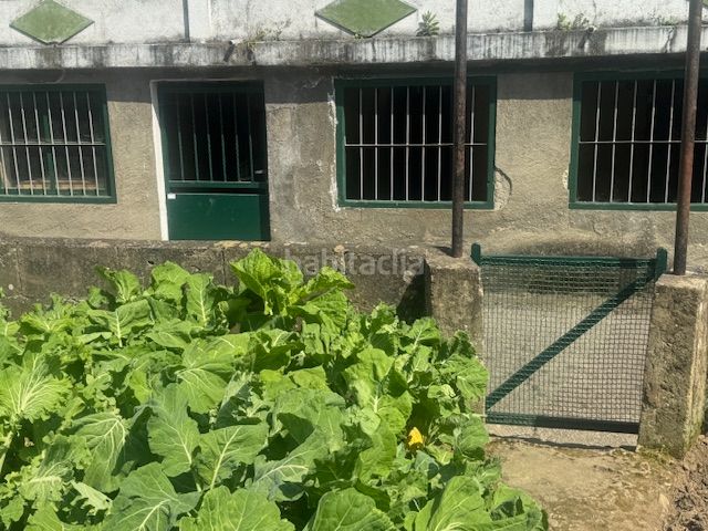Foto 96d58a0a-a9e0-46c8-8a7d-eceff2187408. Casa adossada amb calefacció a Vegadeo