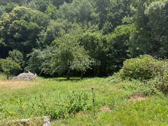 Foto 15f73906-31d3-49ca-894d-698ce163c099. Masia amb xemeneia calefacció a Trabada