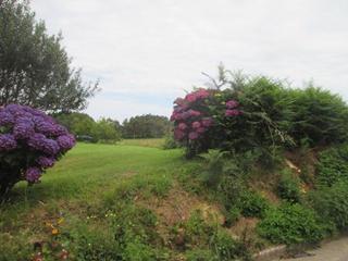 Residential Plot in Castropol