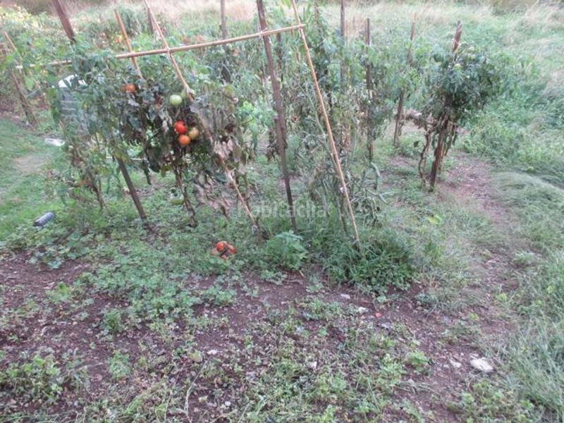 Foto 2080a99c-824b-4bc3-bb38-768c5c25293c. Casa con camino riscaldamento parcheggio in Vegadeo