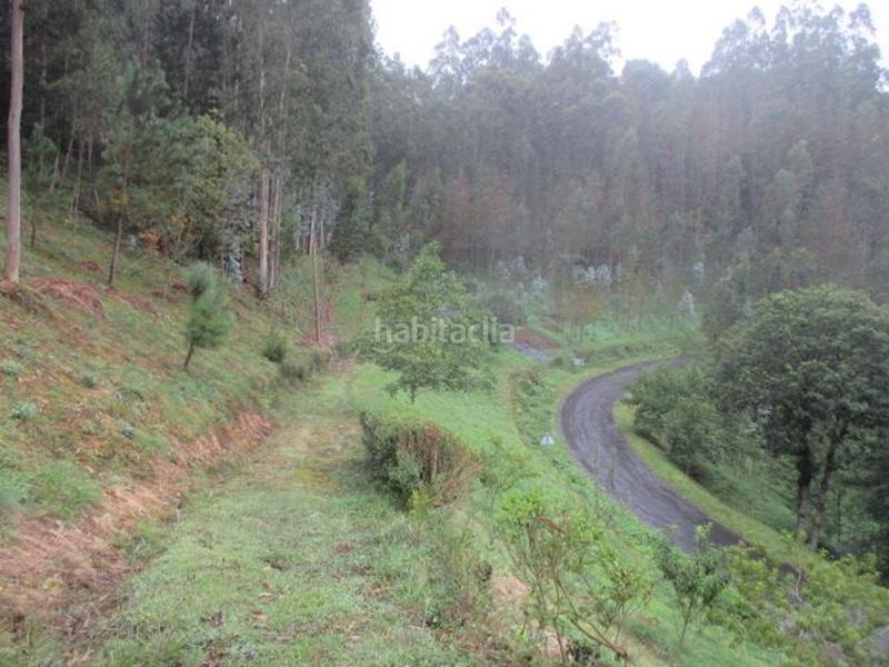 Foto 0cbdb998-4717-440d-8a6d-6fa10feca338. Casa con camino riscaldamento in Vegadeo