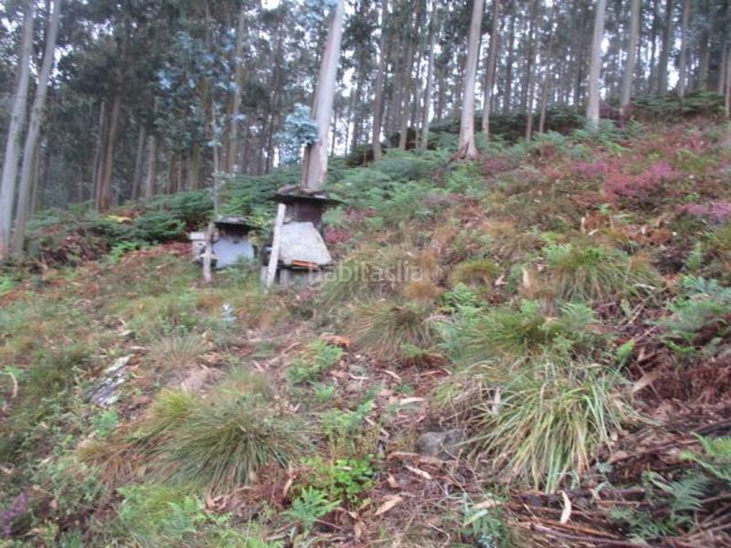 Foto 2514f7e6-0d4d-4ec1-b4af-d6566a49b40a. Casa con camino riscaldamento in Vegadeo