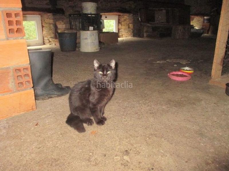 Foto a8198808-b7e6-4b61-8085-c94f7b97e039. Casa con camino riscaldamento in Vegadeo