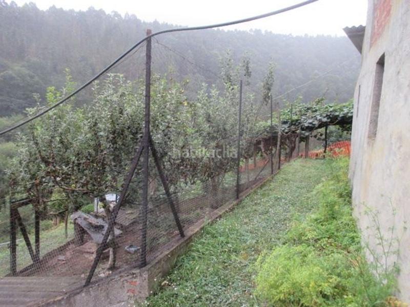 Foto e2dc14ef-17fa-4e83-ae0c-ce383b8c99dc. Casa con camino riscaldamento in Vegadeo