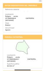 Finca rústica a Castropol. Monte de eucaliptus y pino