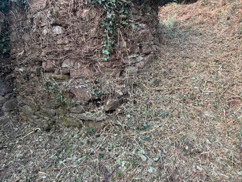 Foto 4f8309d7-bf0c-49c2-8503-bf3d032d7d3e. Masía casa cabaña de piedra en Castropol