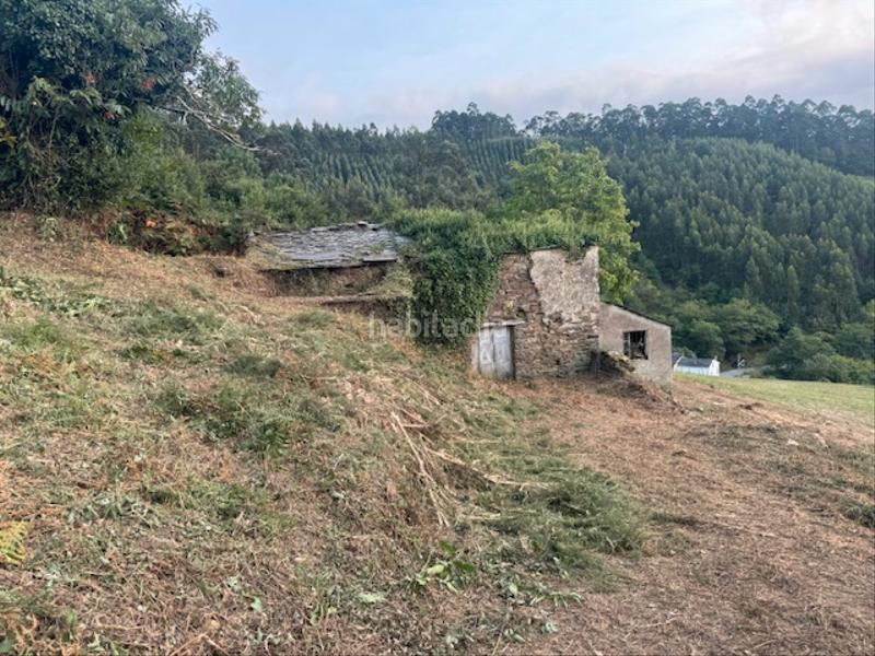 Foto 56f6c7bd-f9b5-4e8b-9238-b6e043cf23cb. Masía casa cabaña de piedra en Castropol