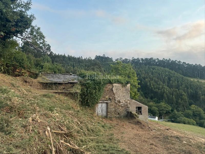 Foto ad6ba9c0-059d-4b8f-aa7d-f7e56c0f37d8. Masía casa cabaña de piedra en Castropol