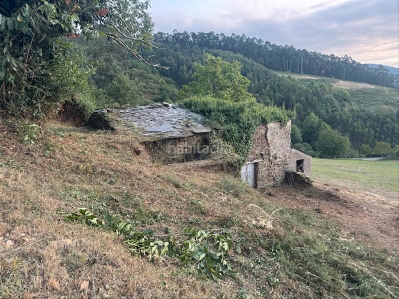 Foto fb94cd6b-4b6b-4035-9299-86e77663f0ab. Masía casa cabaña de piedra en Castropol