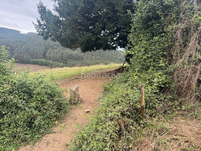 Foto 47171889-4b90-46d4-b1a2-90adcfffc8f8. Casale con camino riscaldamento in Vegadeo