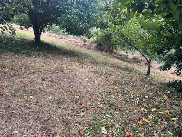 Foto c462e24a-48b8-4a64-9499-d1cbc0eb8b4a. Casale con camino riscaldamento in Vegadeo