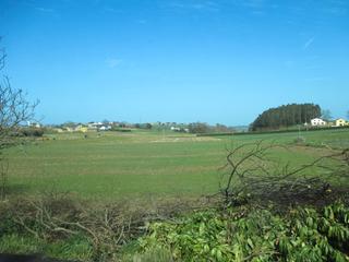 Residential Plot  Caserio brea