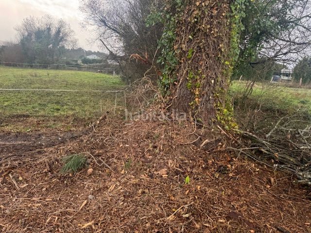 Foto 05a59747-1df3-4e74-bfb1-70e402b5dcb2. Terreny residencial a Castropol