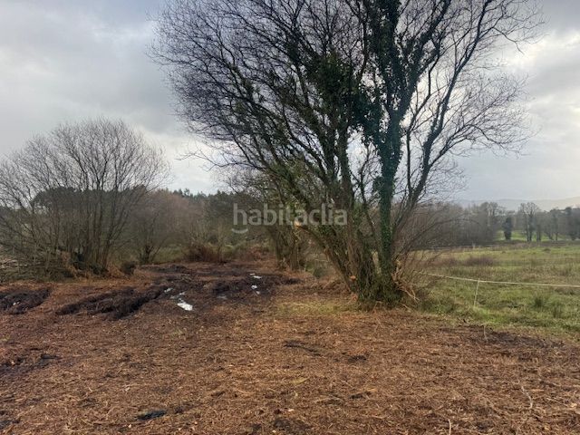 Foto 0ee69faf-206b-42eb-b61c-5efe72d3769f. Terreny residencial a Castropol