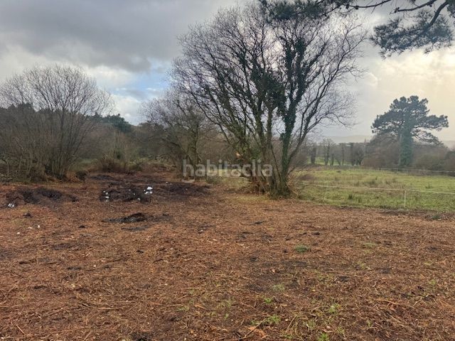 Foto 1e82e2be-c9f8-479d-b044-a5b47d68fe0c. Terreny residencial a Castropol