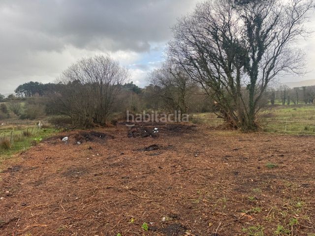 Foto 484111f1-fc23-4c12-b48b-996c22e20e17. Terreny residencial a Castropol