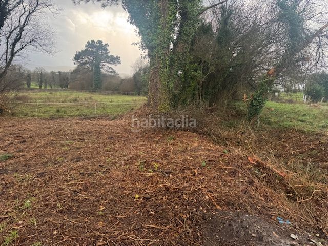 Foto 97fb0b08-bf36-4a94-b9db-4e5e41172c14. Terreny residencial a Castropol