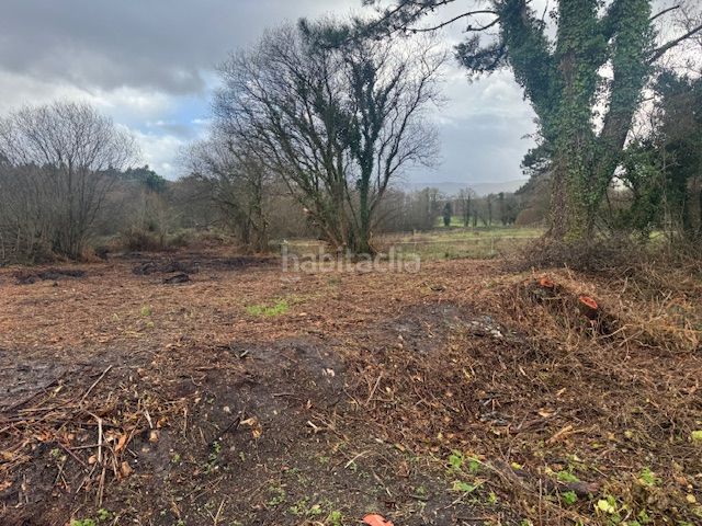 Foto a2cd4f53-8f5b-4893-9a5a-9db9c63dc0e1. Terreny residencial a Castropol