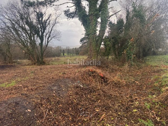 Foto ae632991-1363-4258-b83a-520cf2f461d4. Terreny residencial a Castropol