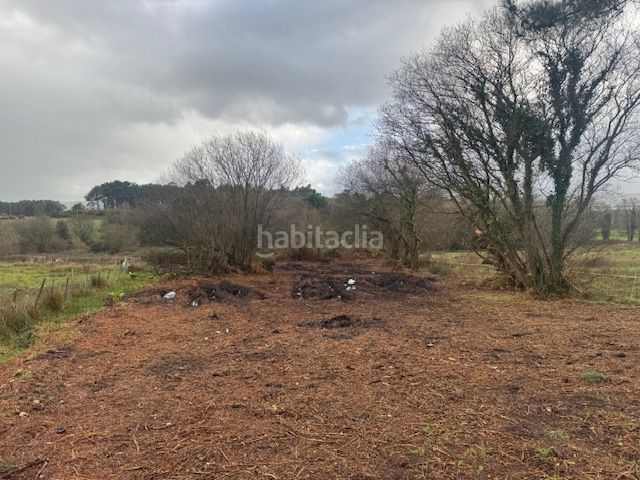 Foto c7ef93bf-342f-4e20-b7b6-364758f5eebe. Terreny residencial a Castropol