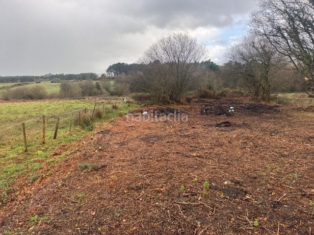 Foto cc35150c-8851-401c-aa8e-8d4de710df8e. Terreny residencial a Castropol