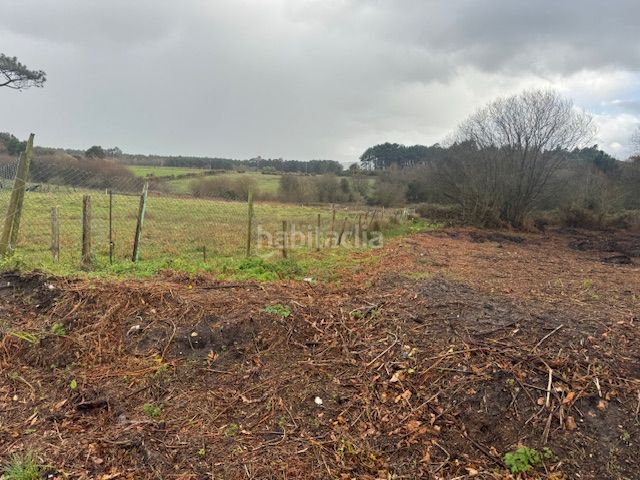 Foto e36d3abe-2c19-478d-b3ce-6c27936be2b2. Terreny residencial a Castropol